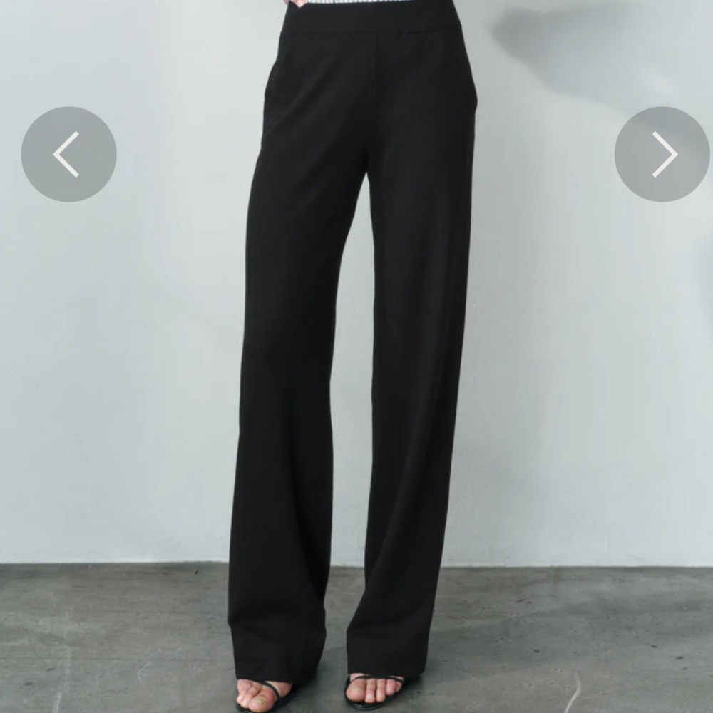 AYR High Hopes Pants, size small